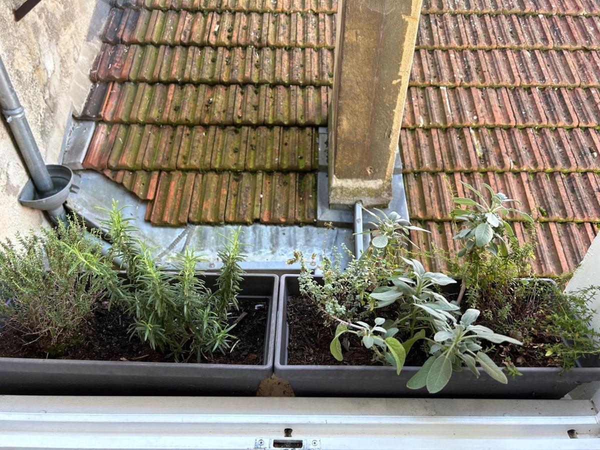 Appartement Le Lys